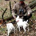 Pause auf der Jagd